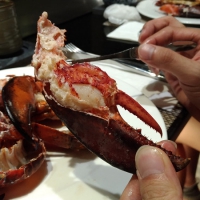 波士頓龍蝦