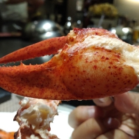 波士頓龍蝦